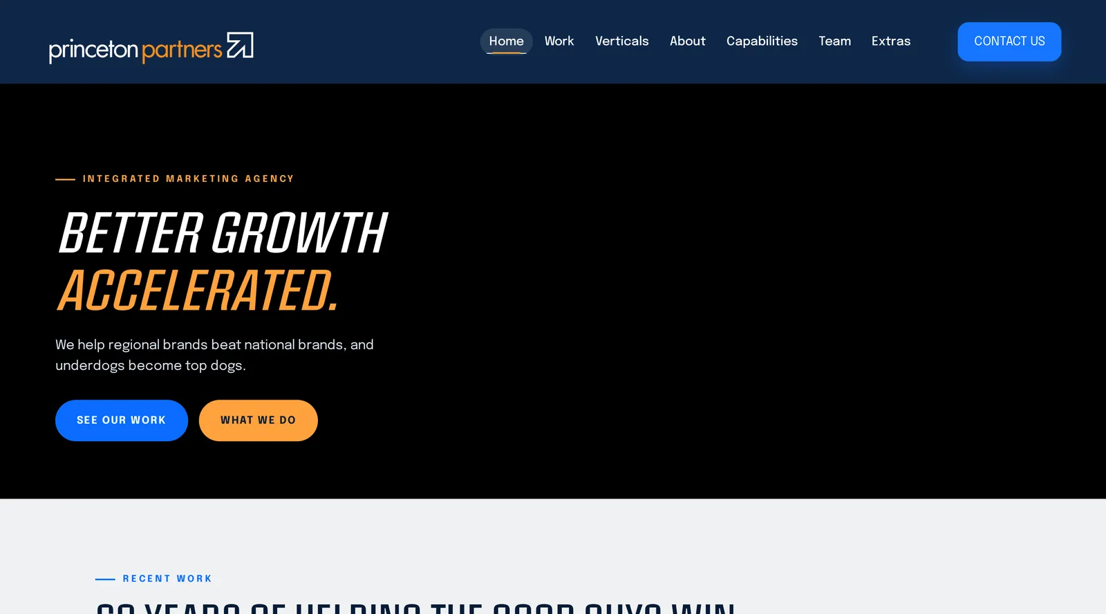 Princeton Partners website homepage.